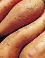 Sweet potatoes